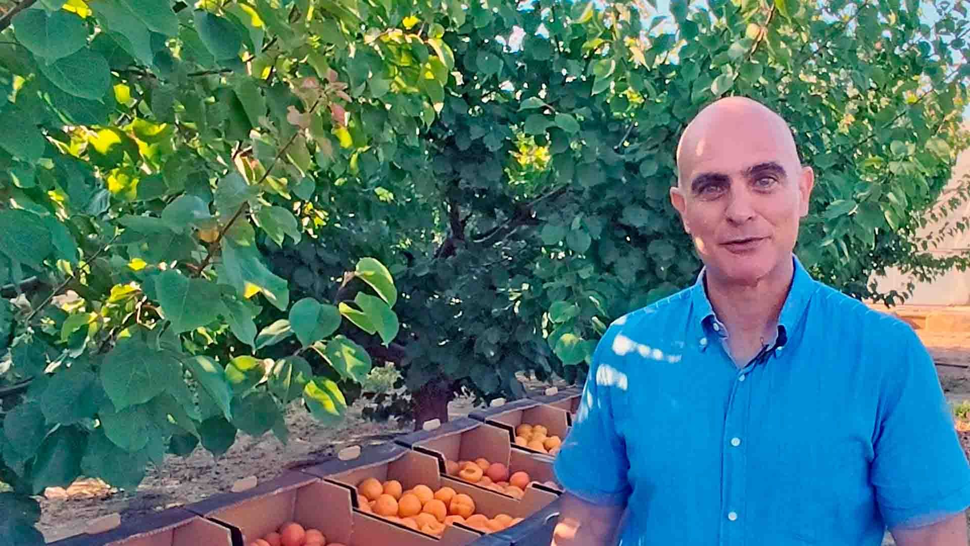 Un hombre calvo con una camisa azul claro sonriendo en un huerto con árboles frutales.