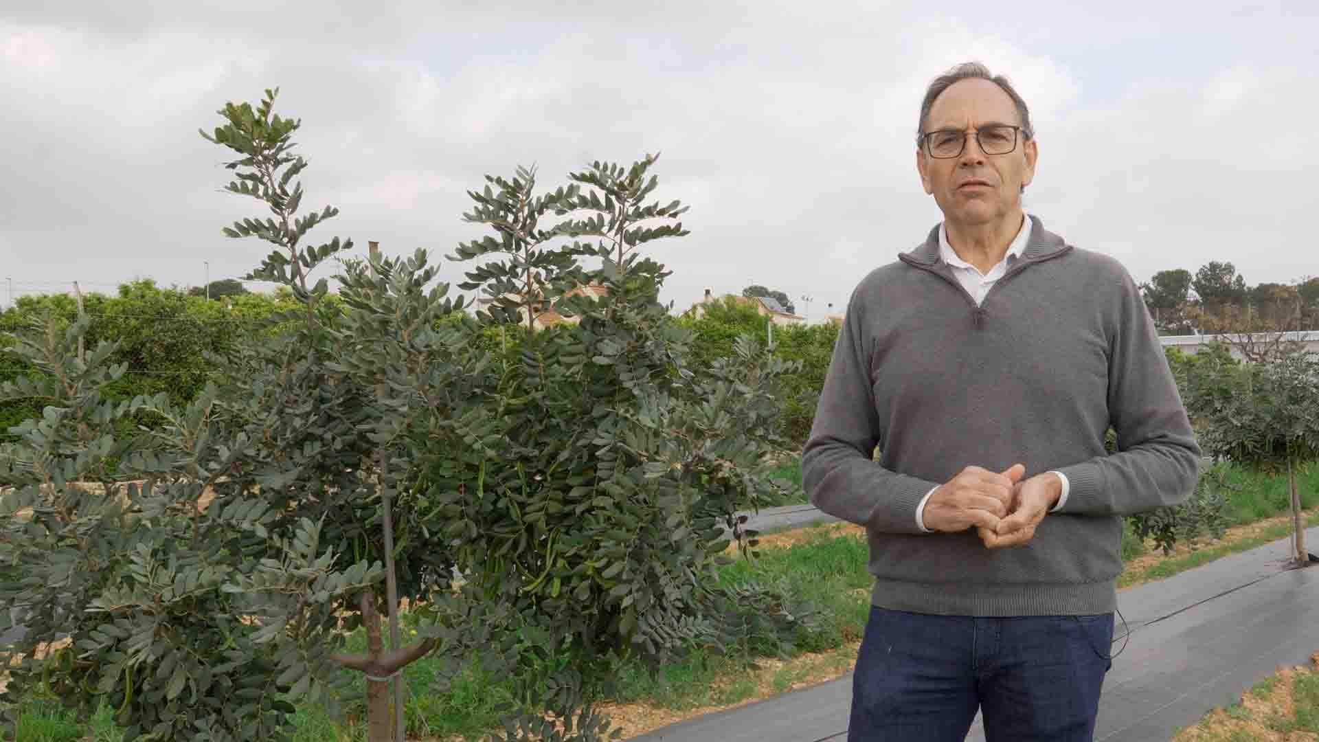 Carlos Baixauli, director del Centro de Experiencias Cajamar, en una explotación de Algarrobo.