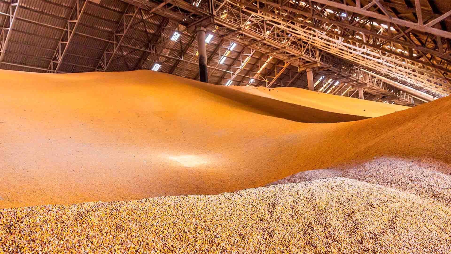 Almacén de grano.