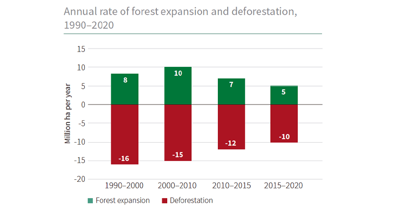 Tasa anual de expansión forestal y deforestación (1990-2020)