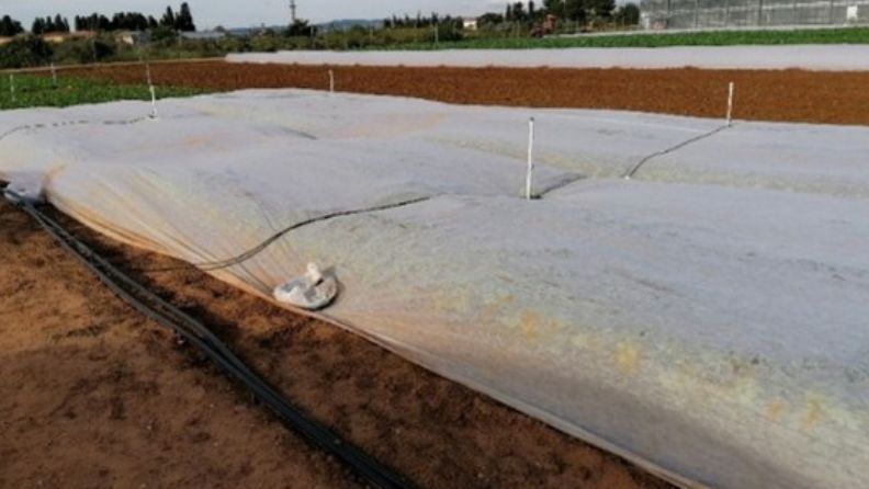 Un campo de plástico con una bolsa de plástico en el medio.
