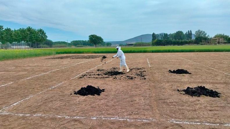 Fertilización del suelo con lodos de EDAR (Foto: IRTA)