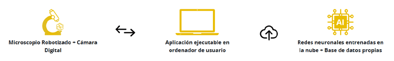 web-app-honey.al1.png