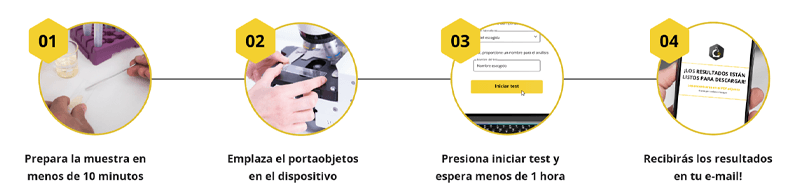 web-app-honey.al2.png
