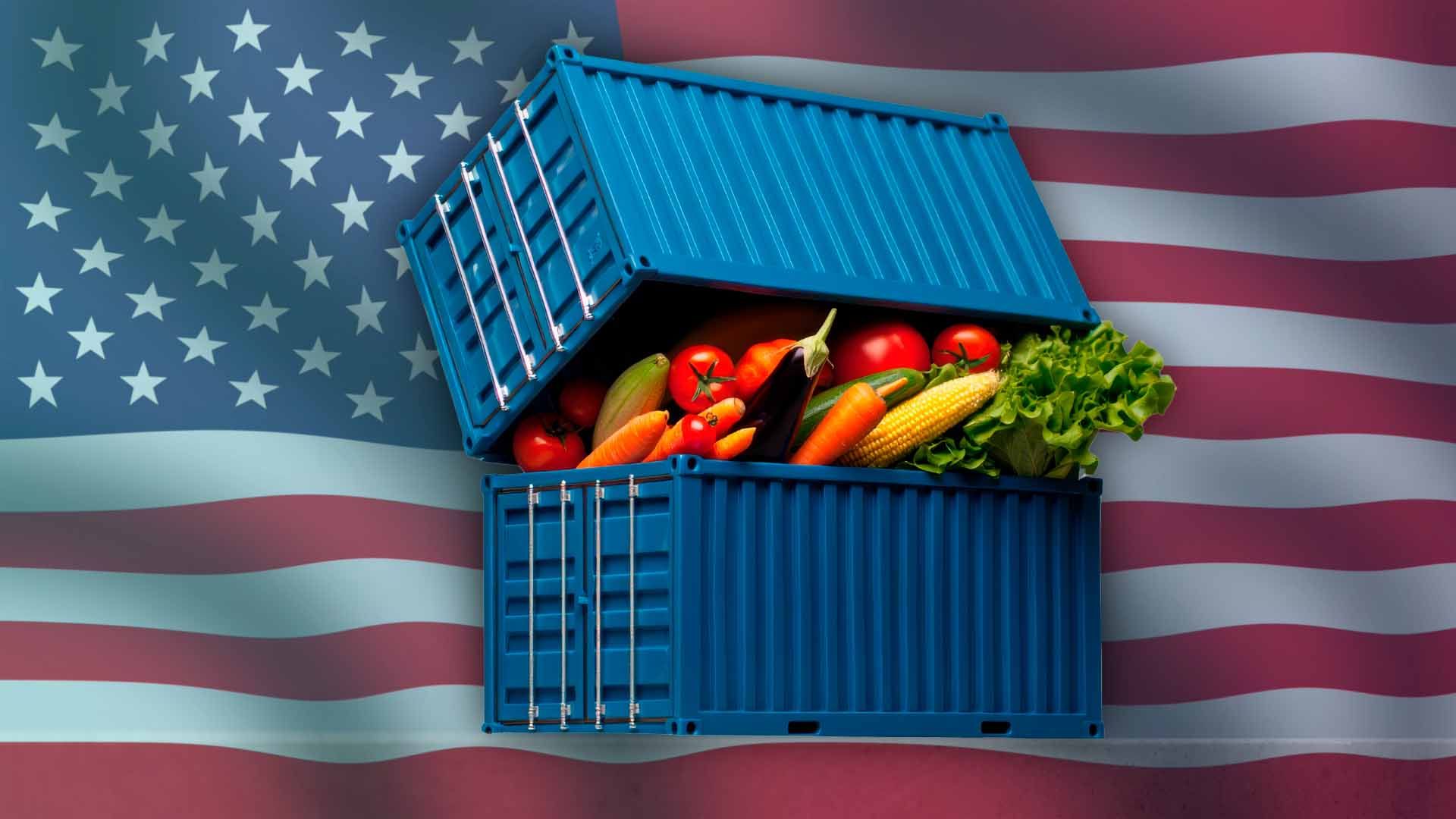 Contenedor azul con vegetales sobre la bandera de Estados Unidos.