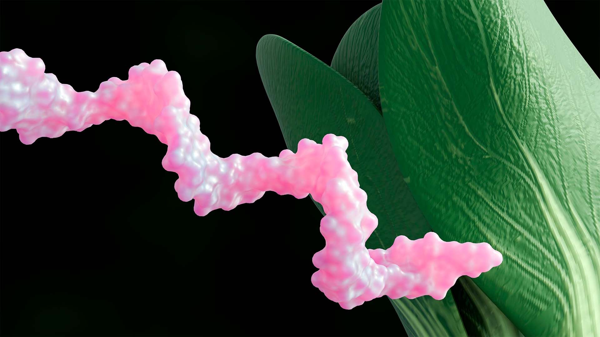Representación 3D de una molécula de ARN y una hoja verde sana. Biología molecular en un contexto vegetal.
