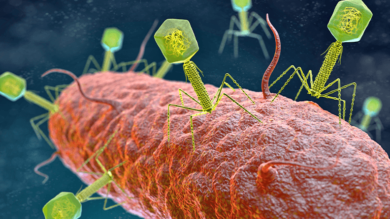 Virus bacteriófago atacando una bacteria