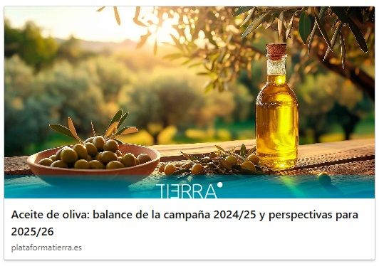 Aceite de oliva: balance de la campaña 2024/25 y perspectivas para 2025/26