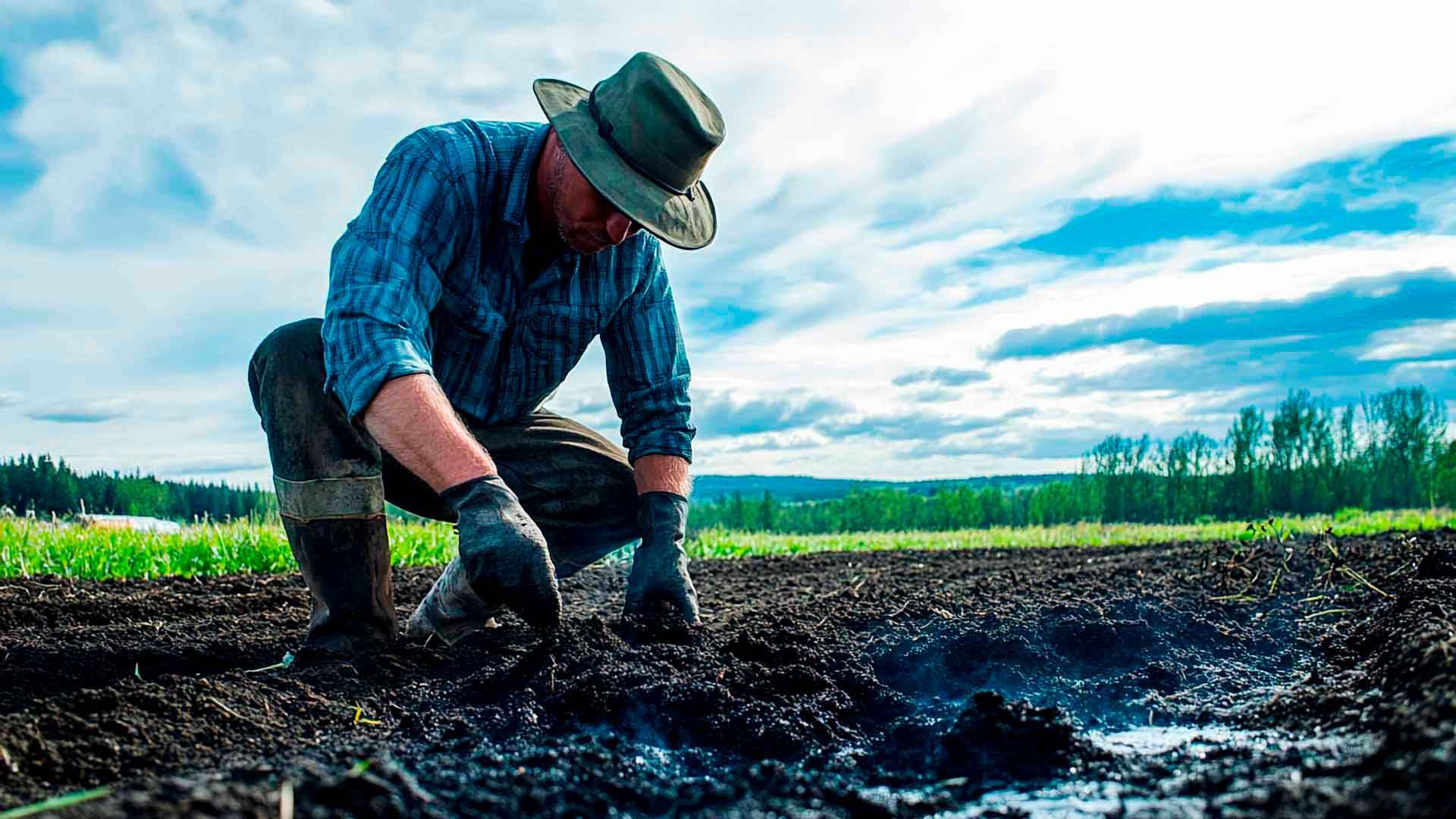 Biochar