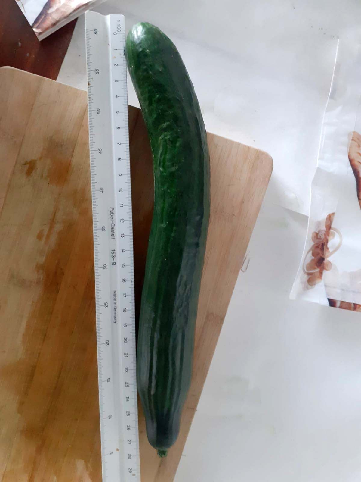 Pepino holandés biofortificado en hierro.