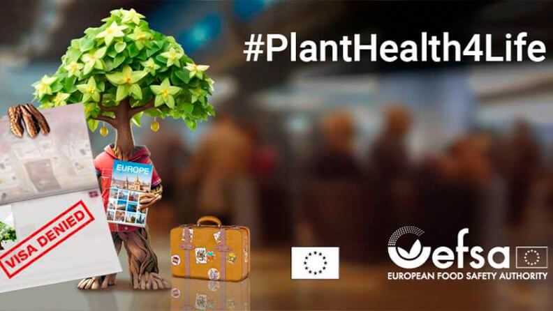 Comienza la campaña #PlantHealth4Life.