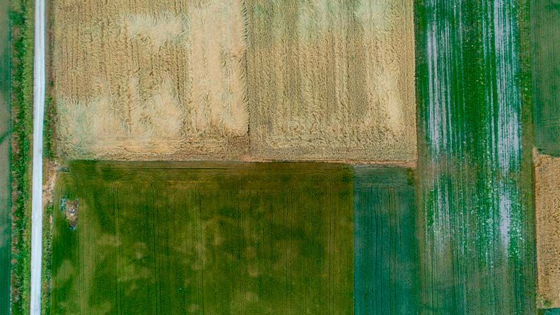Vista aérea de campos de cultivo con diferentes colores y texturas de suelo.