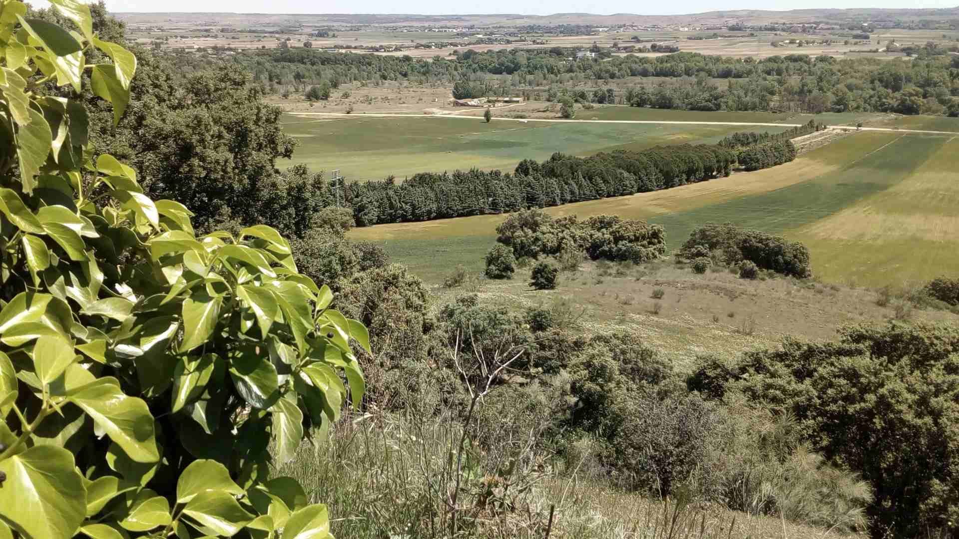 Vista aérea de un campo de cultivo