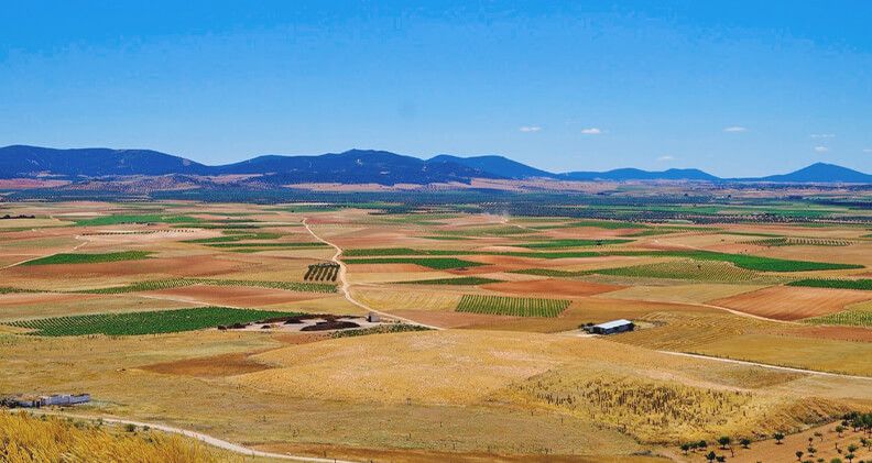 Imagen de archivo del campo español. Fuente: Ministerio de Agricultura.