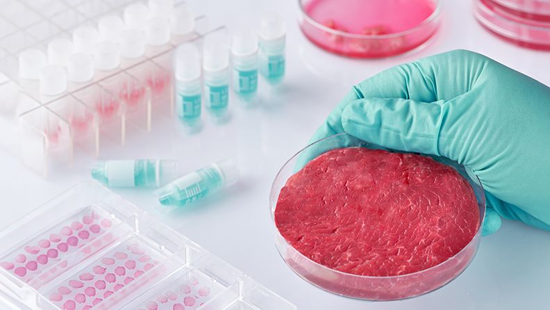 Carne cultivada en laboratorio