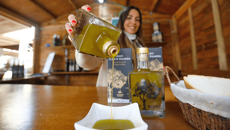 Cata de aceite de oliva en Córdoba. Efeagro/Salas