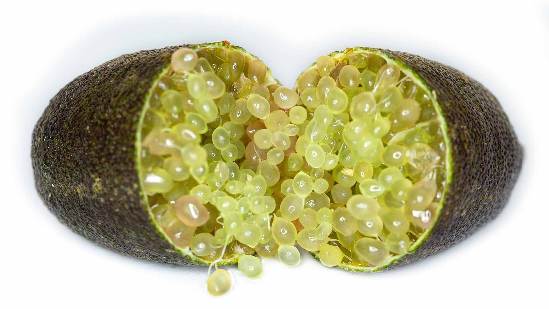Caviar cítrico.