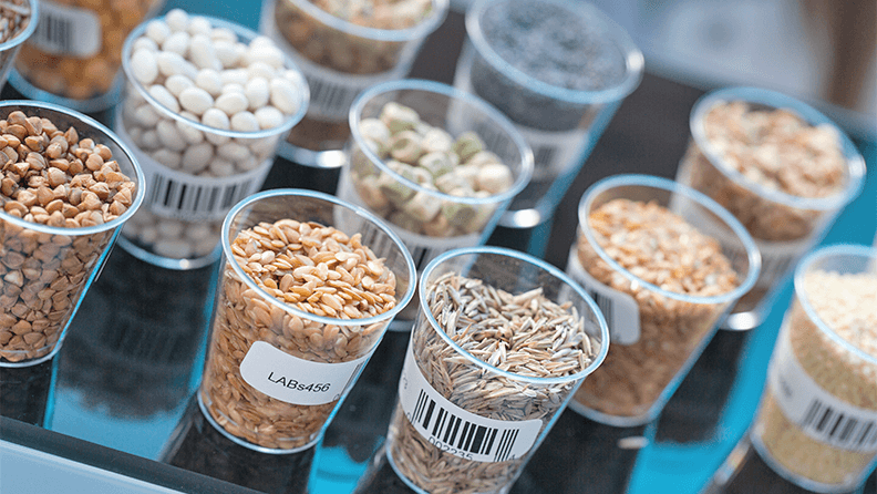 Cereales analizados en un laboratorio