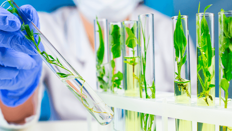 Un científico sostiene un tubo de ensayo con una planta dentro en el laboratorio