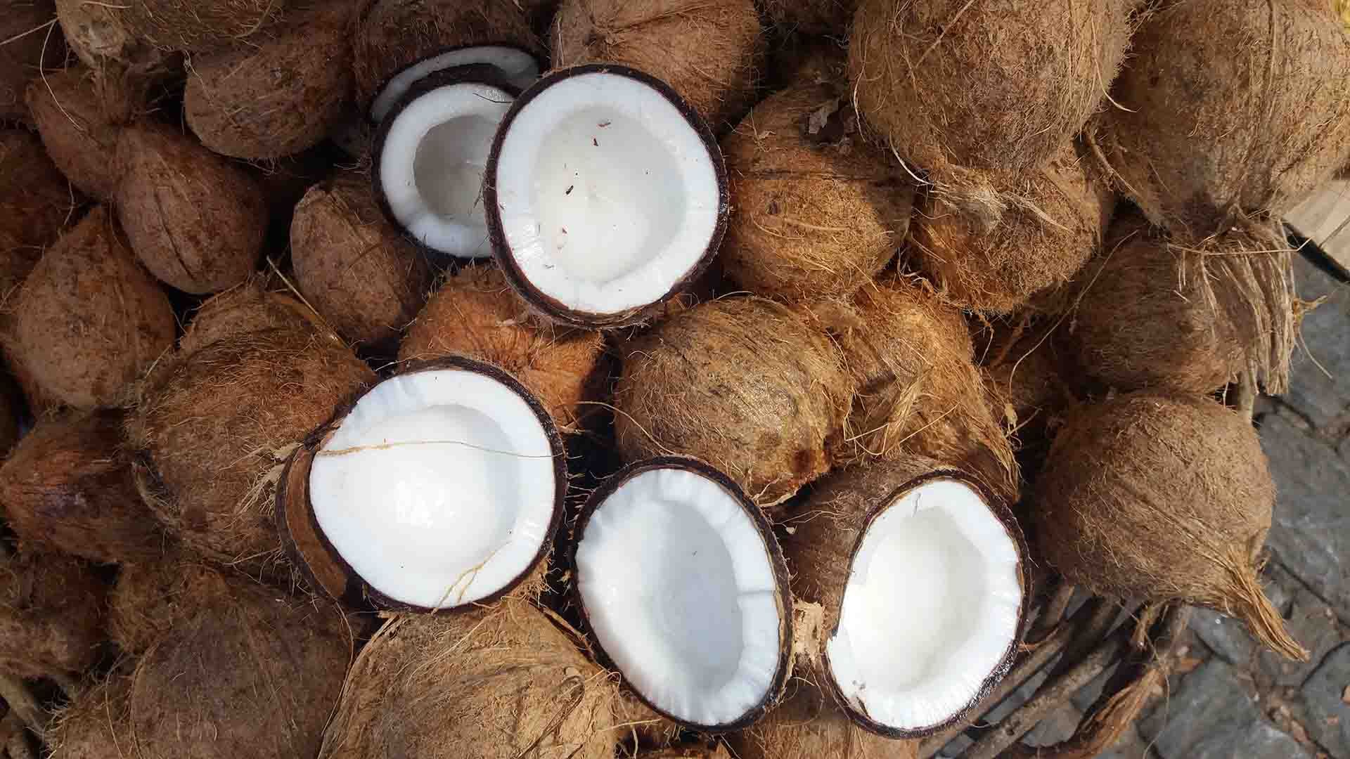 Cocos enteros y partidos que muestran su interior blanco y su cáscara marrón.
