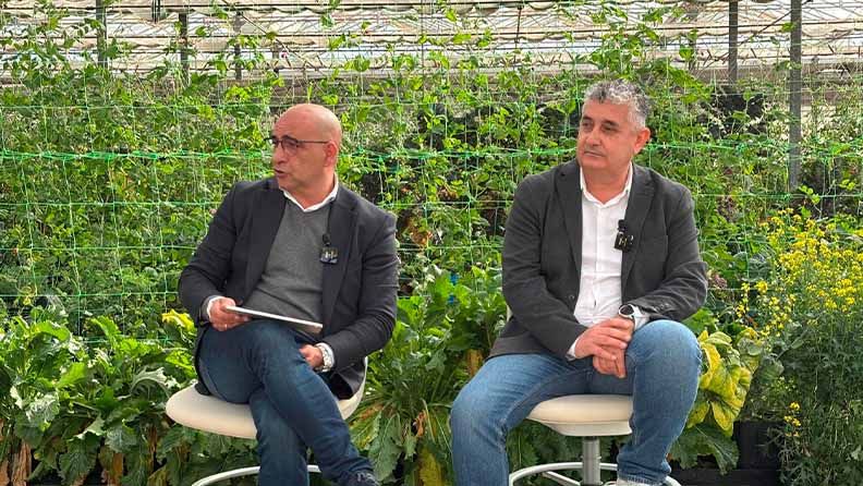 Web convocatoria cajamar innova marzo 26 4