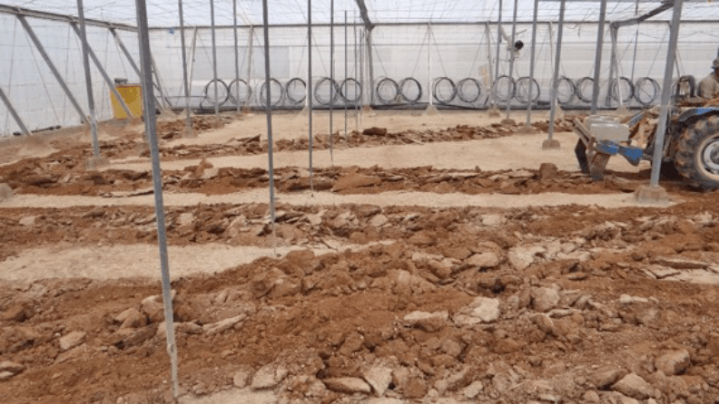 Encostramiento y salinización en la capa superficial de un cultivo en invernadero