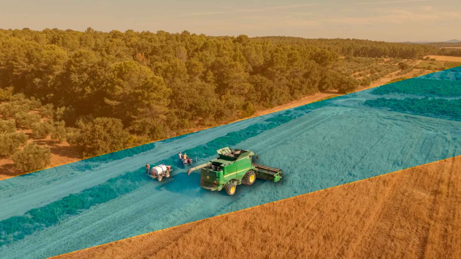 Vista aérea: cosechadora trabajando en extenso campo de cultivo junto a bosque.