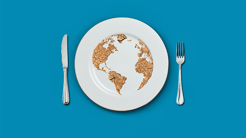 Antecedentes del concepto de crisis alimentaria mundial.
