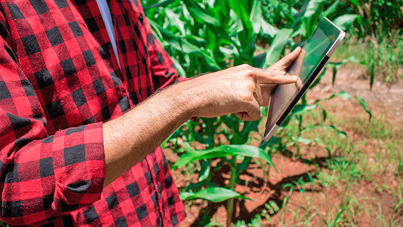 Un agricultor maneja los datos de su explotación a través de una tablet