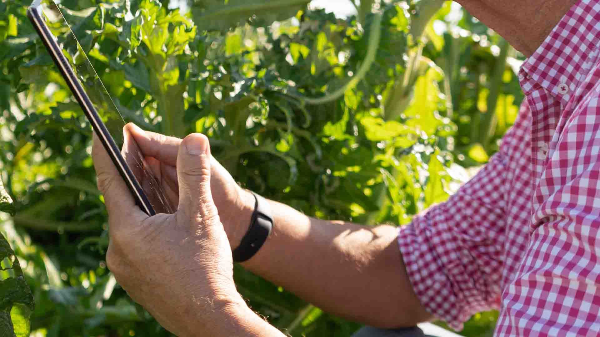 Cuaderno de campo digital.