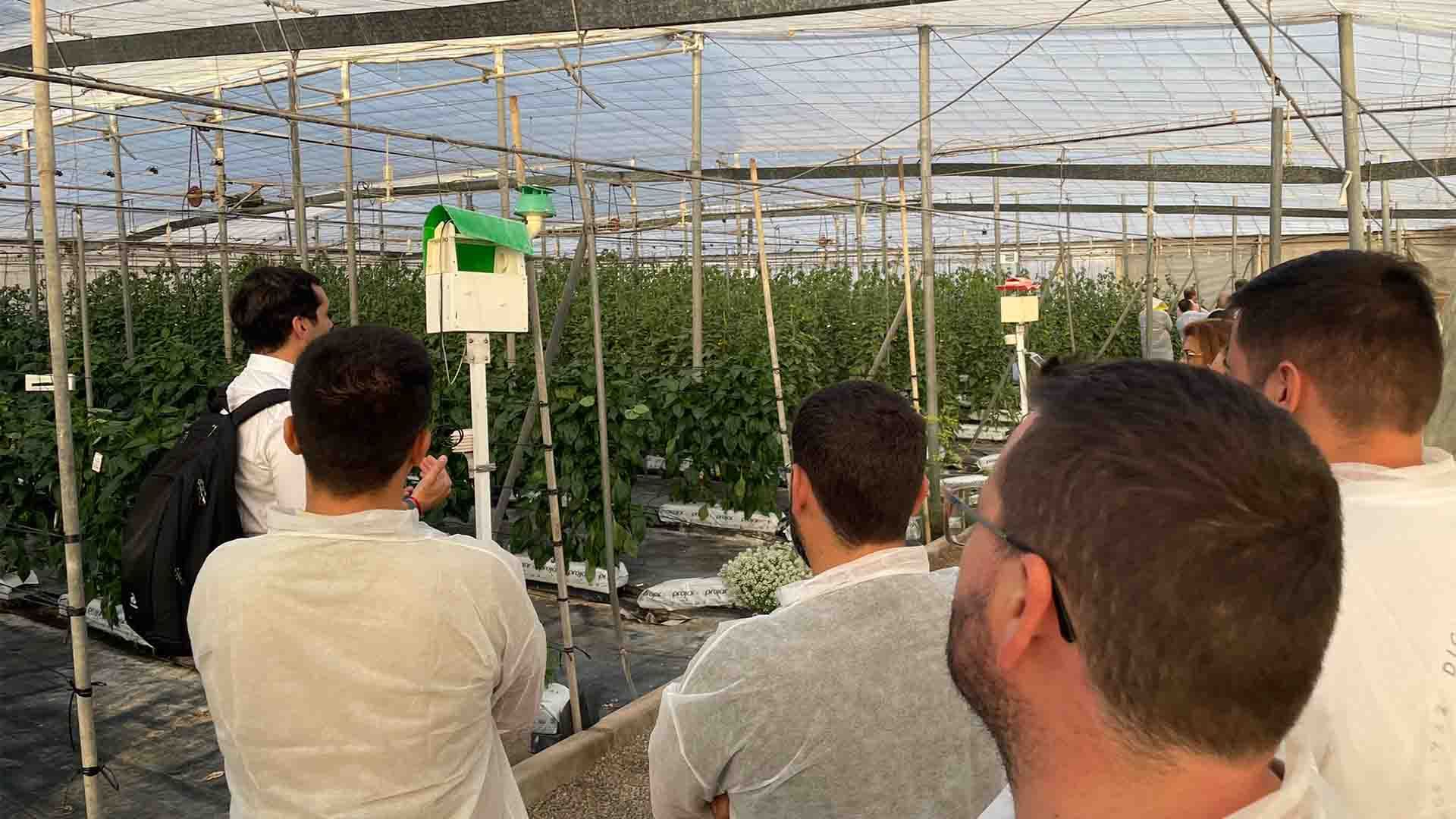 Curso sobre tecnología y digitalización para producción de cultivos hortícolas en invernadero