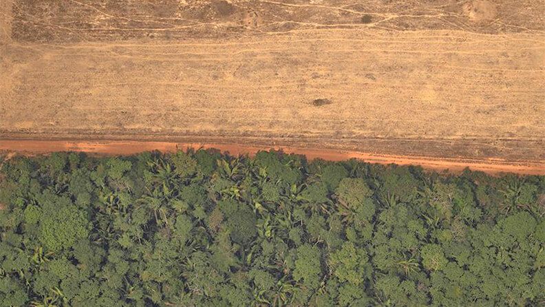 Vista aérea de áreas deforestadas de la selva amazónica, en Brasil. Efeagro/Archivo/Joédson Alves