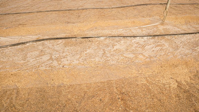 Detalle de suelo de cultivo donde se ha alcanzado la máxima temperatura posible para poder eliminar todos los agentes patógenos que puedan existir en el suelo