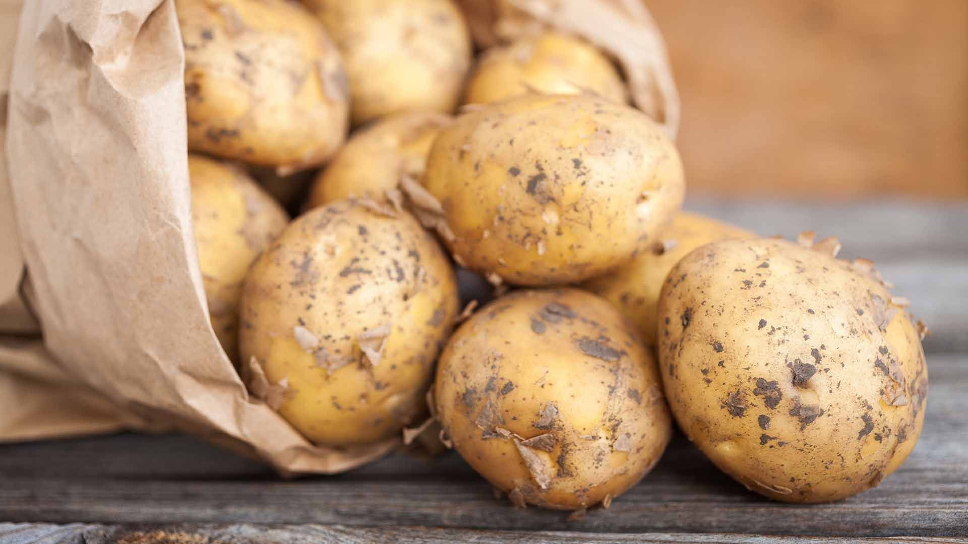 Saco de patatas. Saco de patatas.