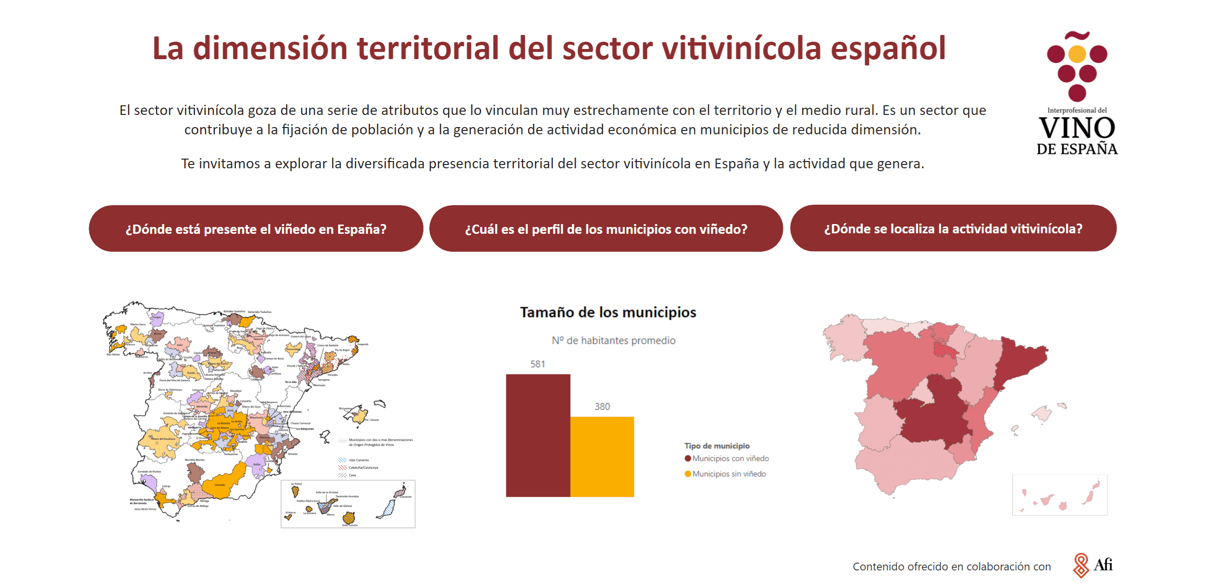 Dimensión del vino en España. OIVE.