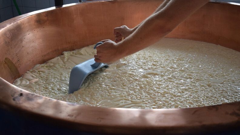 Elaboración del queso.
