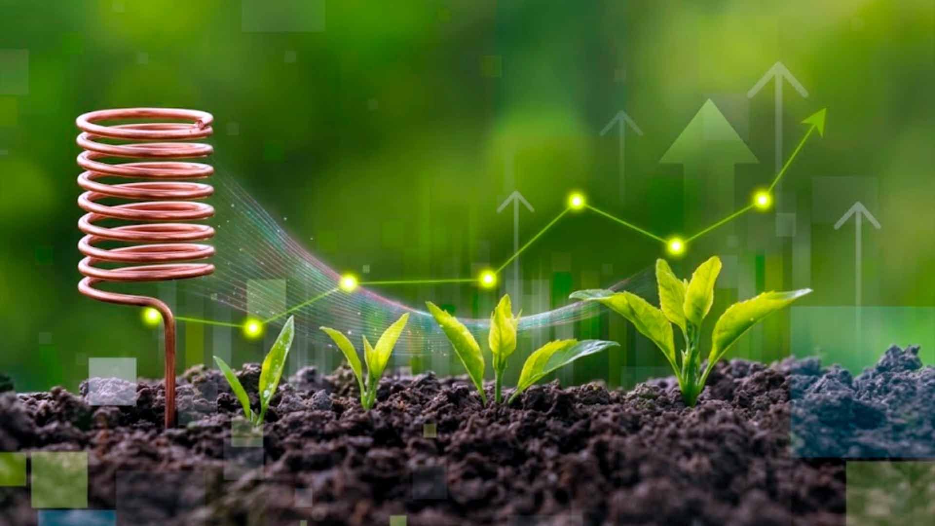 Plants growing in the ground with green leaves and yellow light.