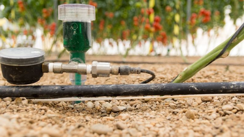 Sensores de humedad del suelo instalados en el terreno de cultivo