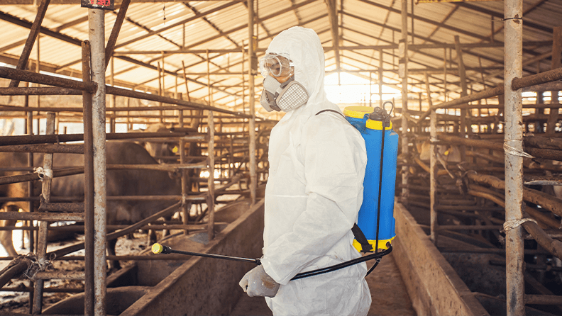 Pulverización de desinfectante para proteger la pandemia de enfermedades en granjas ganaderas
