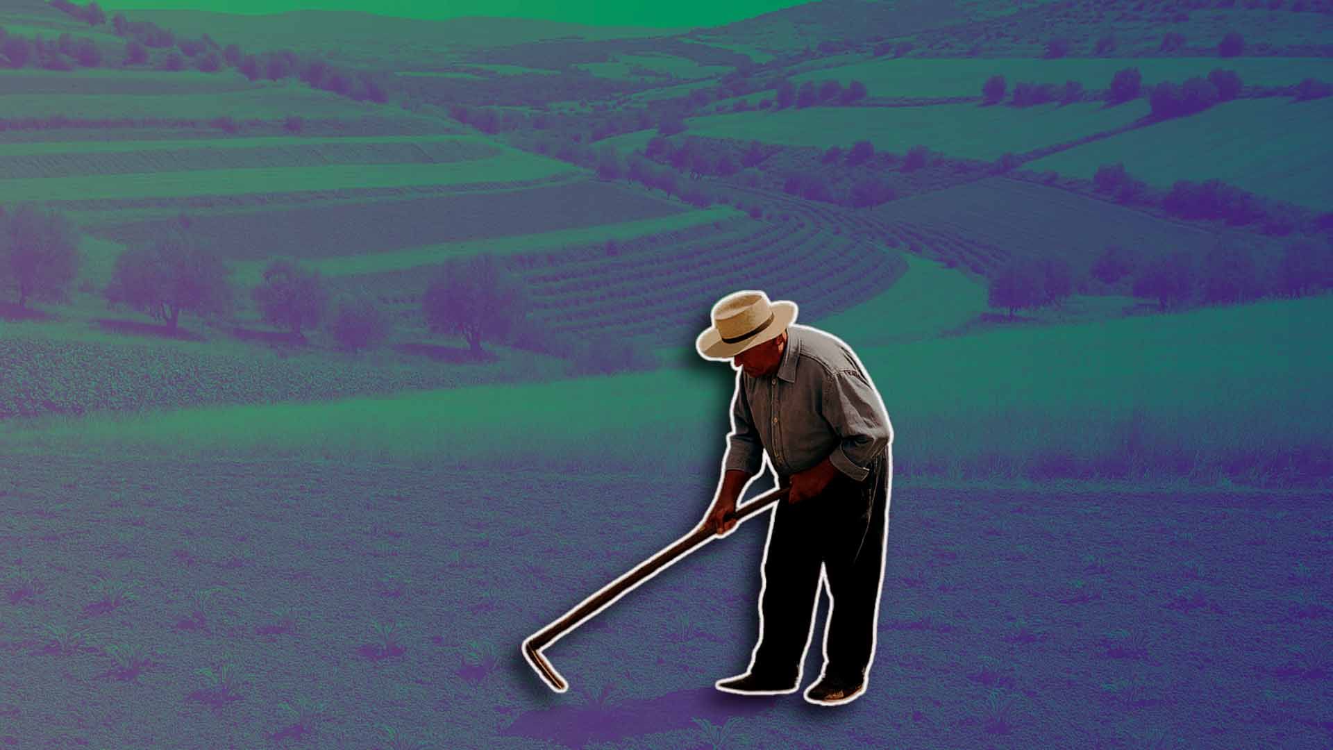 Hombre trabajando en campo con herramienta de labranza en terreno agrario.
