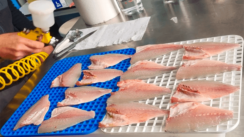 Detalle del proceso de aplicación de las soluciones antioxidantes a los filetes de dorada.