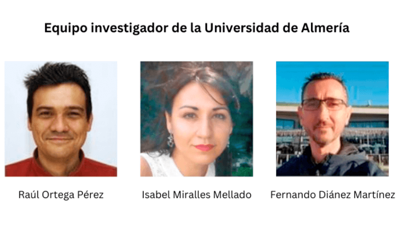 Equipo de investigación de la Universidad de Almería que ha participado en el proyecto.