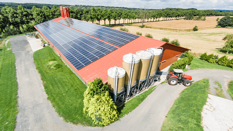 Placas solares para abastecer granja ganadera