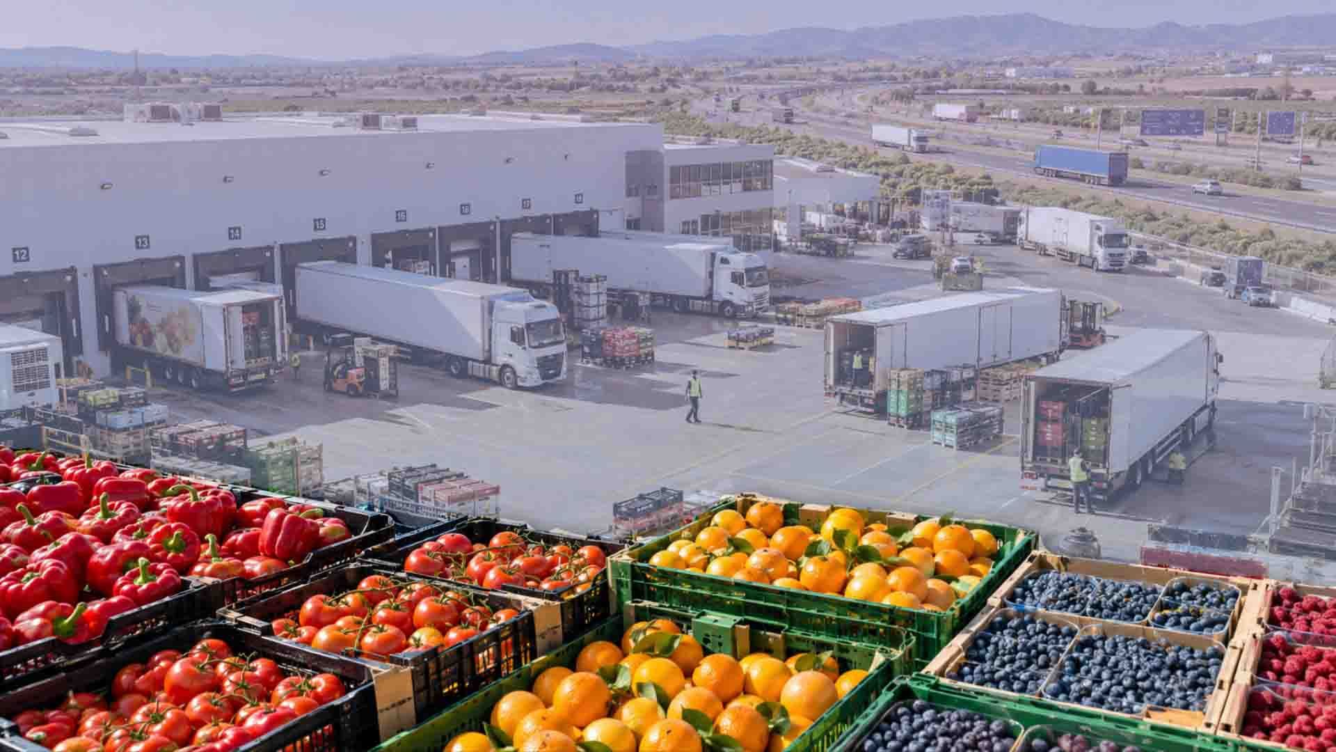 Camineiro cargando cajas de fruta y verduras en un gran almacén.