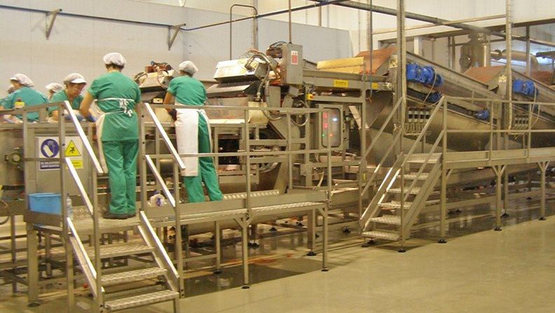 Una fábrica de procesamiento de tomates. Efeagro/Archivo