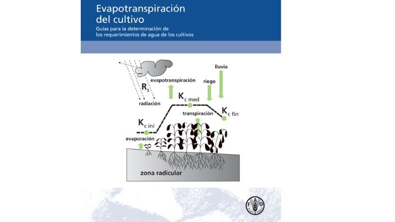 Diagrama que ilustra la evapotranspiración del cultivo, incluyendo lluvia, riego, radiación y crecimiento.