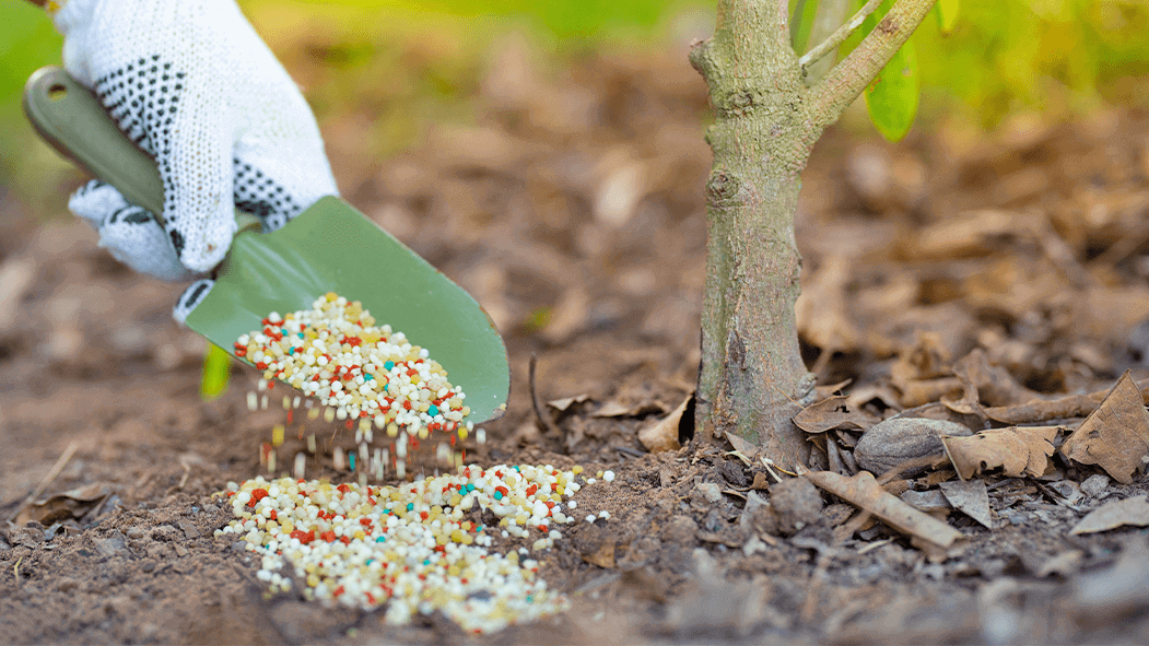 La nueva legislación busca disminuir el impacto ambiental en los suelos agrarios.