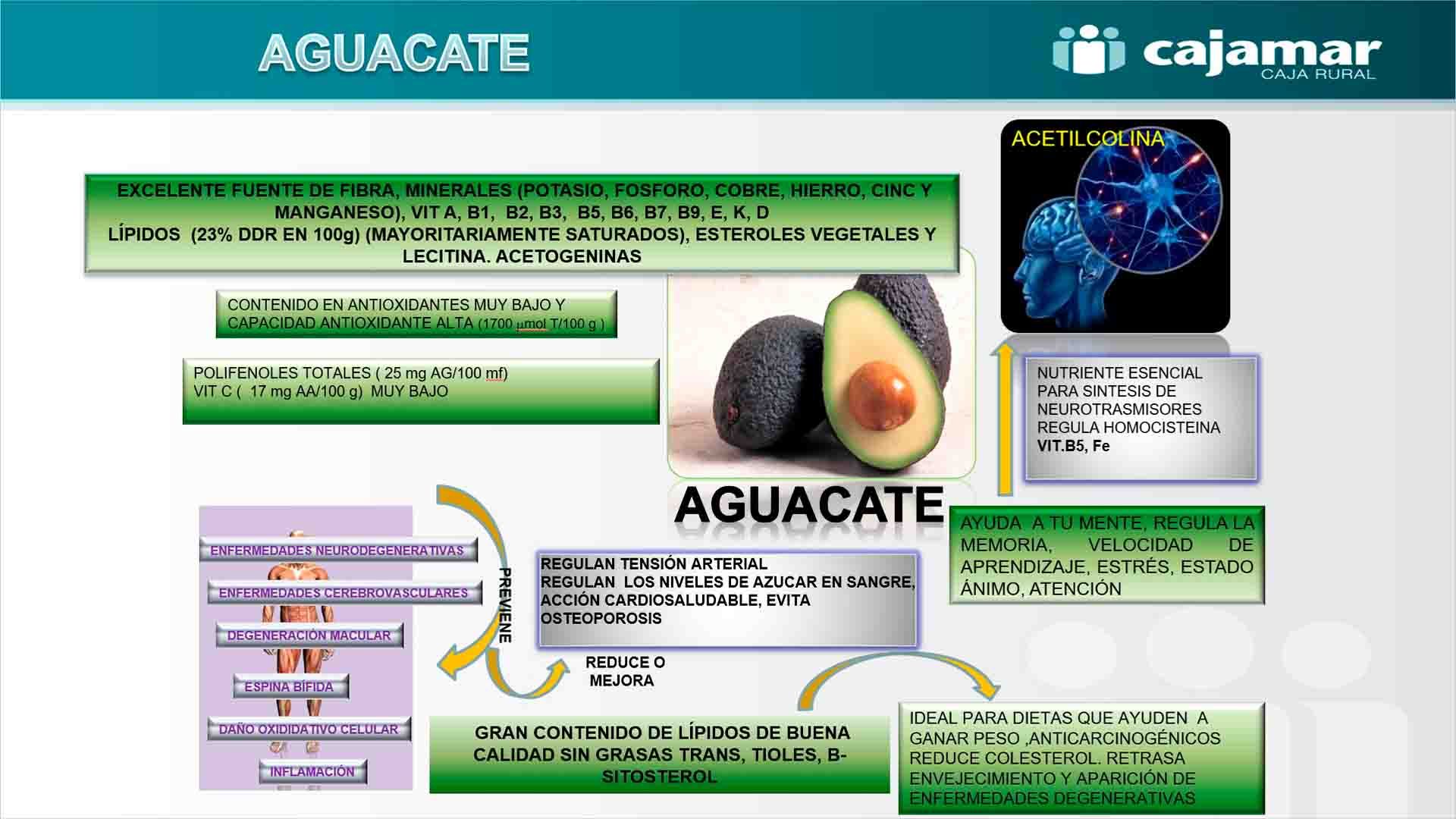 Ficha aguacate.