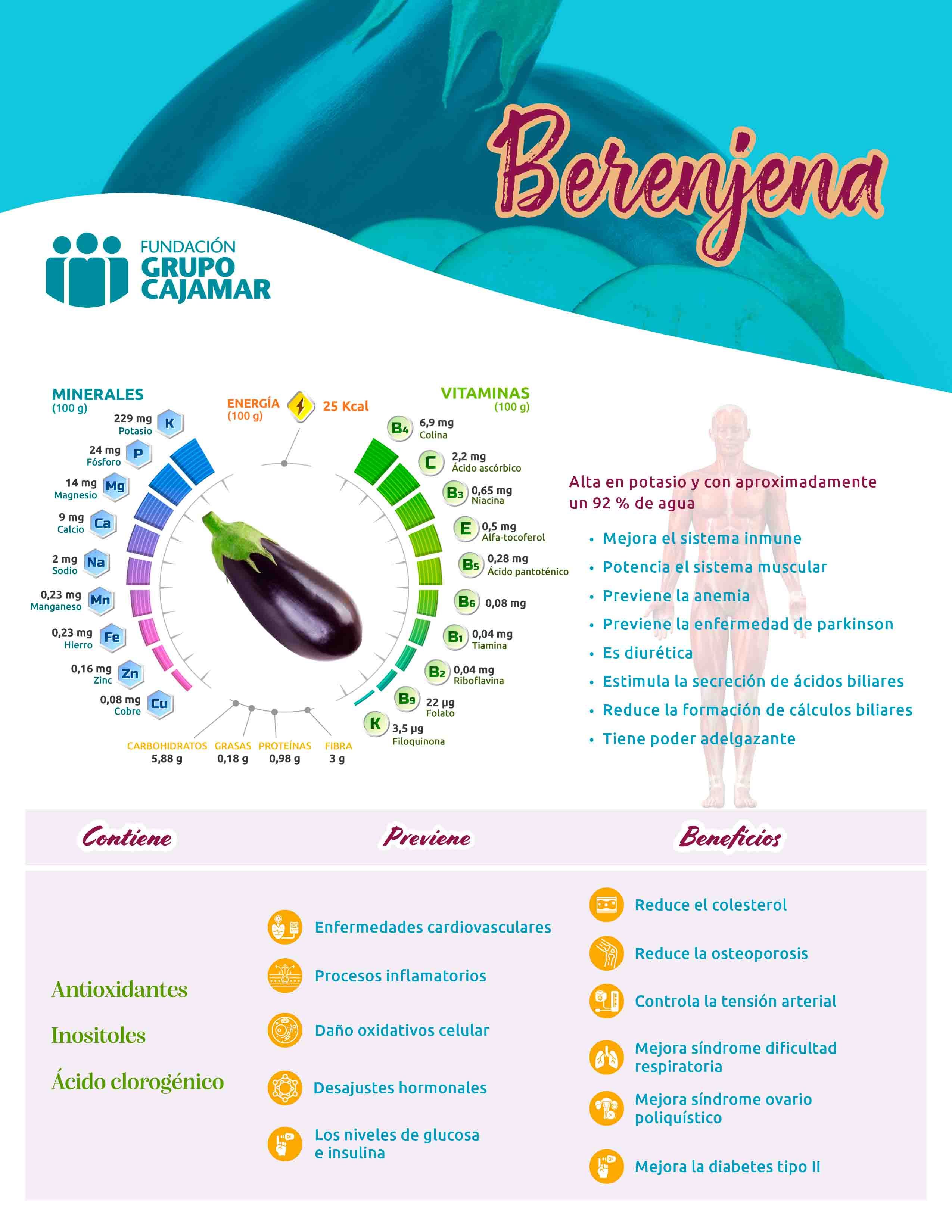Ficha berenjena.