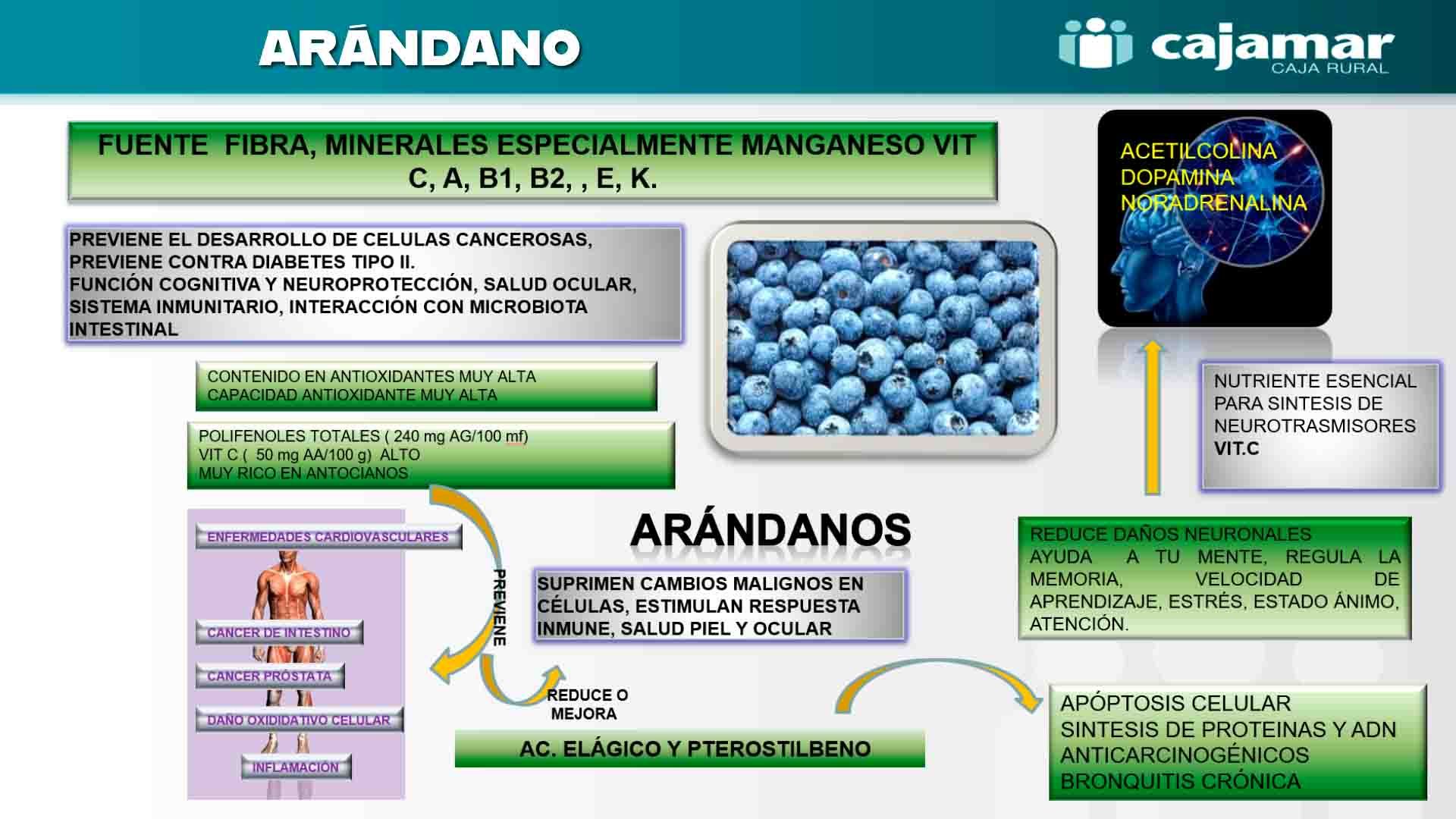 Ficha arándano.